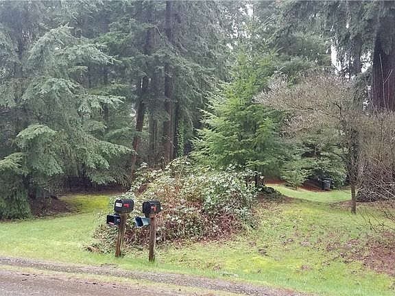 Pic from near SE corner of site. Corner is believed to be to right of mail boxes but not guaranteed.  