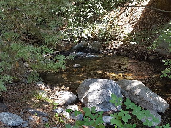 4th image of 42707 Hot Springs Road