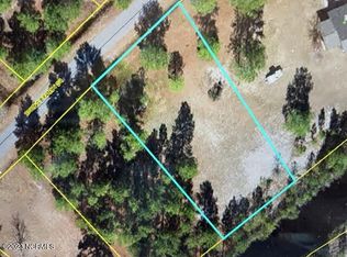 209 Spring Branch Dr, Harrells, NC 28444