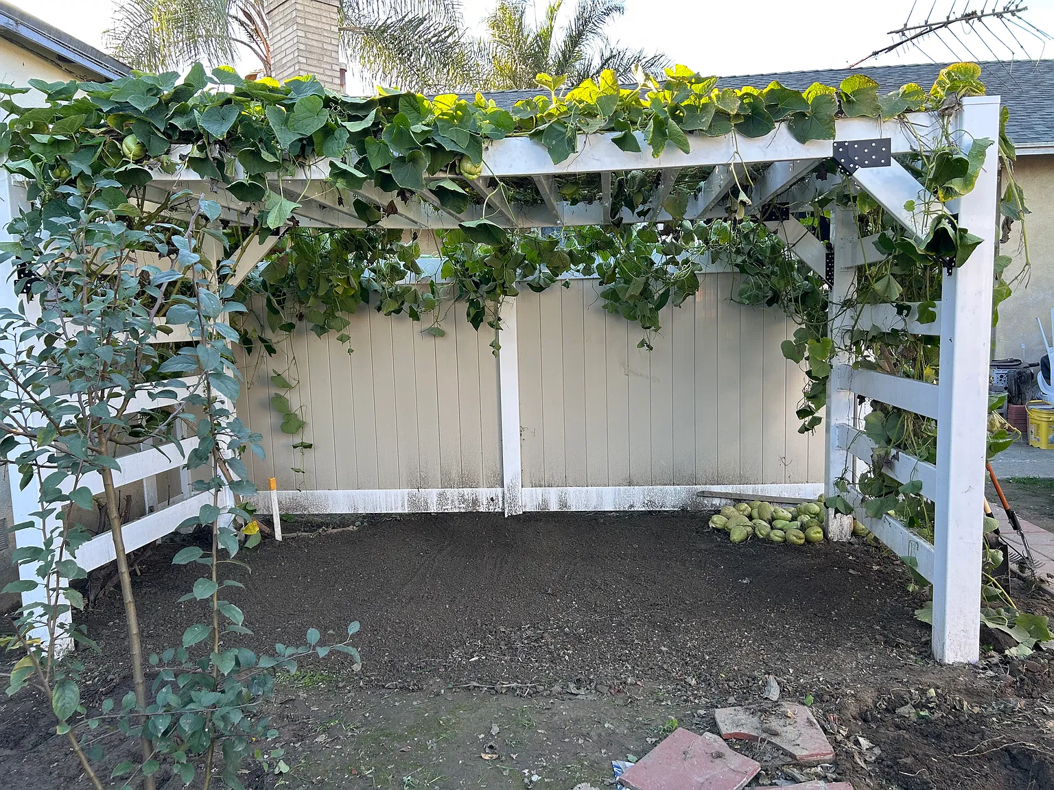 1 bed, 500 sqft, $2,500 — Photo 3