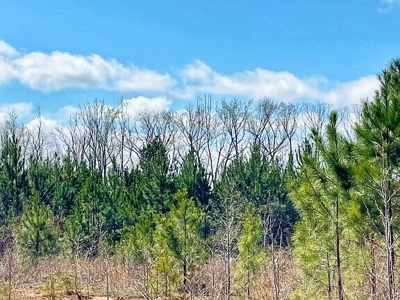 3rd image of 0 Brinkley Rd