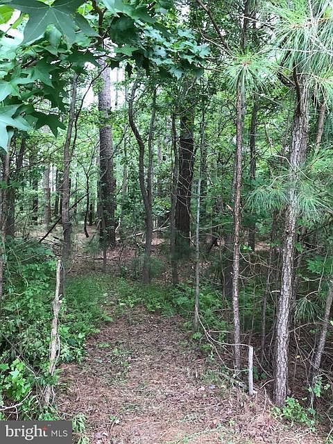1st image of 116 Pine Forest Dr