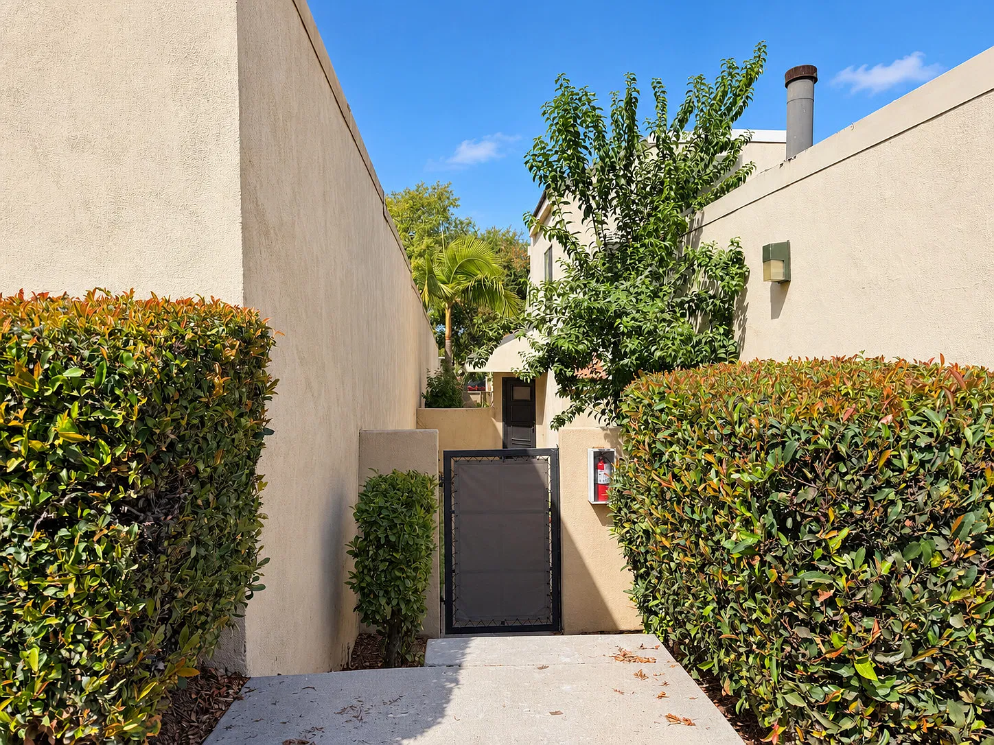 2 bed, 2.5 bath, 1136 sqft, $2,700 — Photo 2