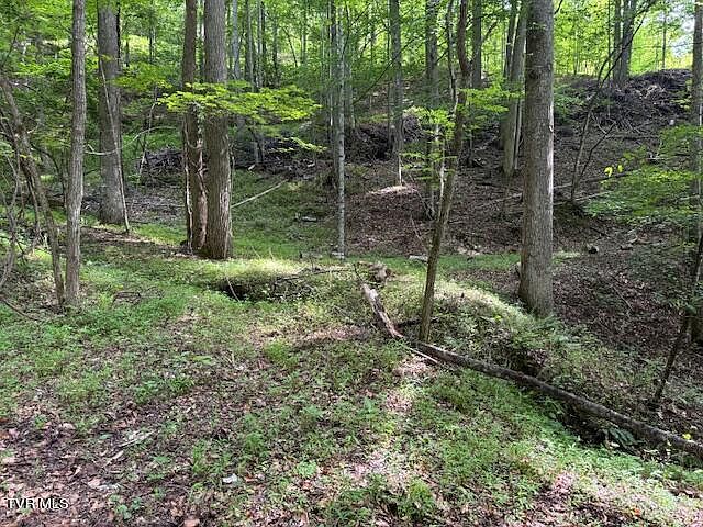1st image of 0 Cane Mountain Ln