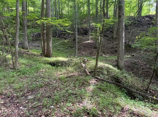 0 Cane Mountain Ln, Burnsville, NC 28714