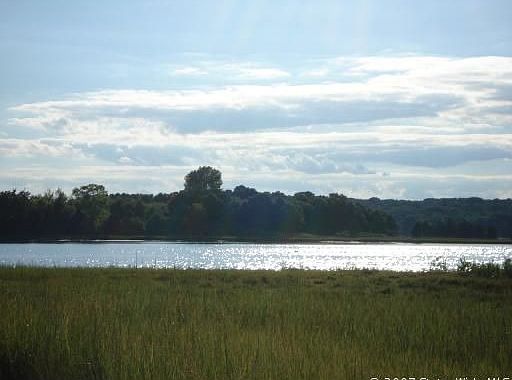View from conservation land at rear of property