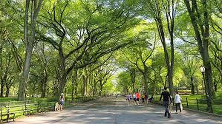 Rented by Alpha Properties NYC I LLC | media 12