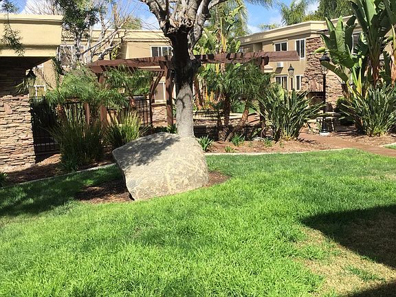 2nd image of 792 Avocado Ave Unit 8