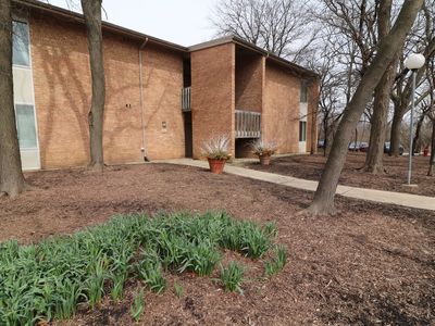 1501 Fairway Dr APT 1F, Lisle, IL, 60532