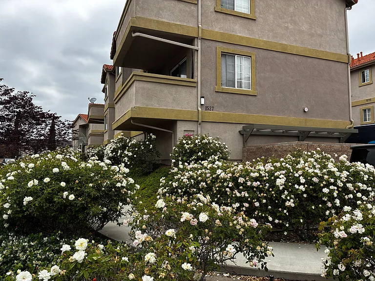 1537 Spruce #A — Photo 1