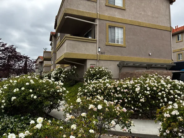 1537 Spruce, Placentia, CA