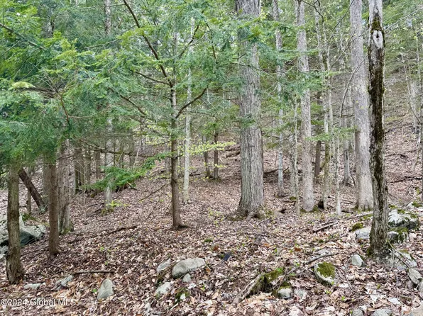 L4 Hans Creek Road, Broadalbin, NY 12025