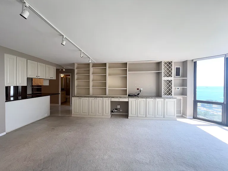 2650 N Lakeview Ave #3708 — Photo 9