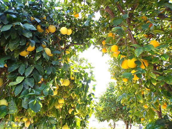 5th image of 250 E Telegraph Rd Space 220