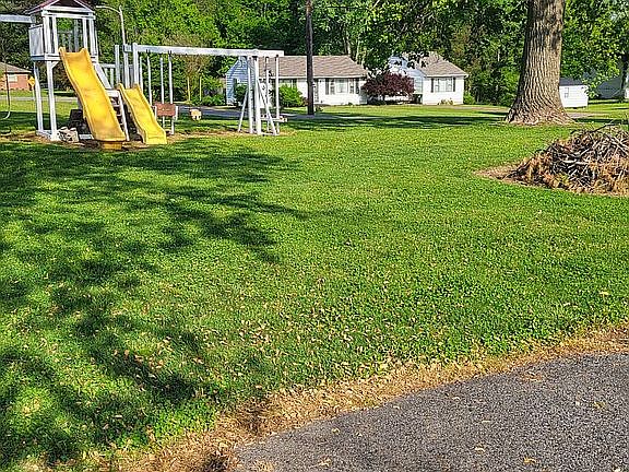 side lot with playset