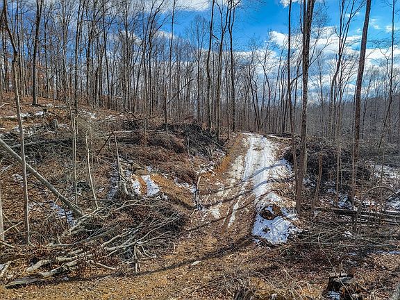 3rd image of 0 Hutchins Bend Rd Lot 1