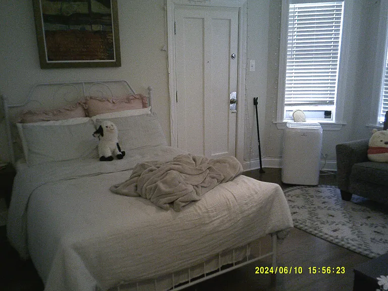 3819 N Greenview Ave #1E — Photo 2