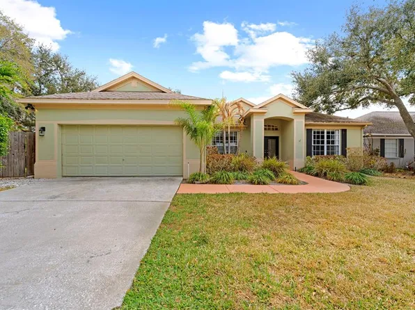 4302 River Close Blvd, Valrico, FL 33596