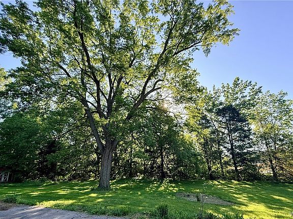 3rd image of 5313 Watson Rd