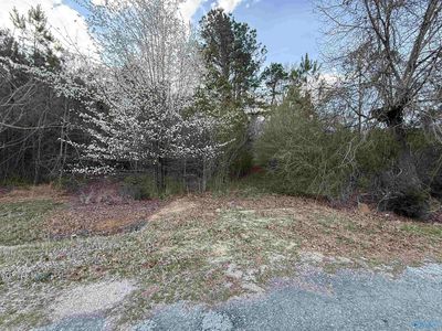 2113 Buster Willett Rd, Attalla, AL, 35954