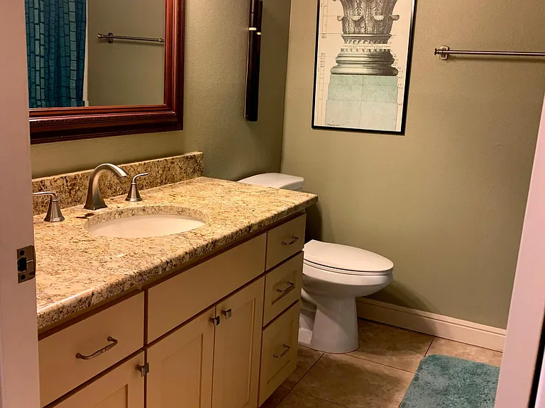 Guest bathroom