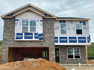 131 Mint Ct, Bluff City, TN 37618