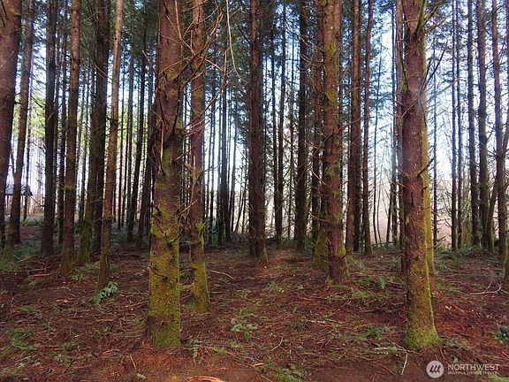 4th image of 2431 N River Road