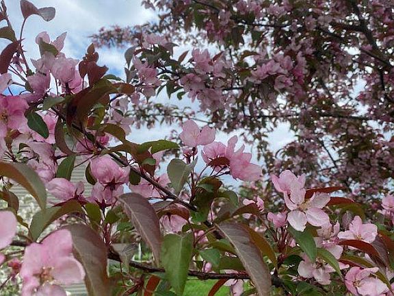5th image of 611 11th Ave NE