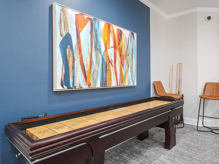The Landings at Boot Ranch | Palm Harbor FL | Billiards Room with Shuffleboard