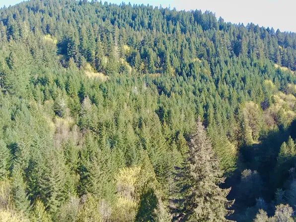 S Fork Rd, Alsea, OR 97324