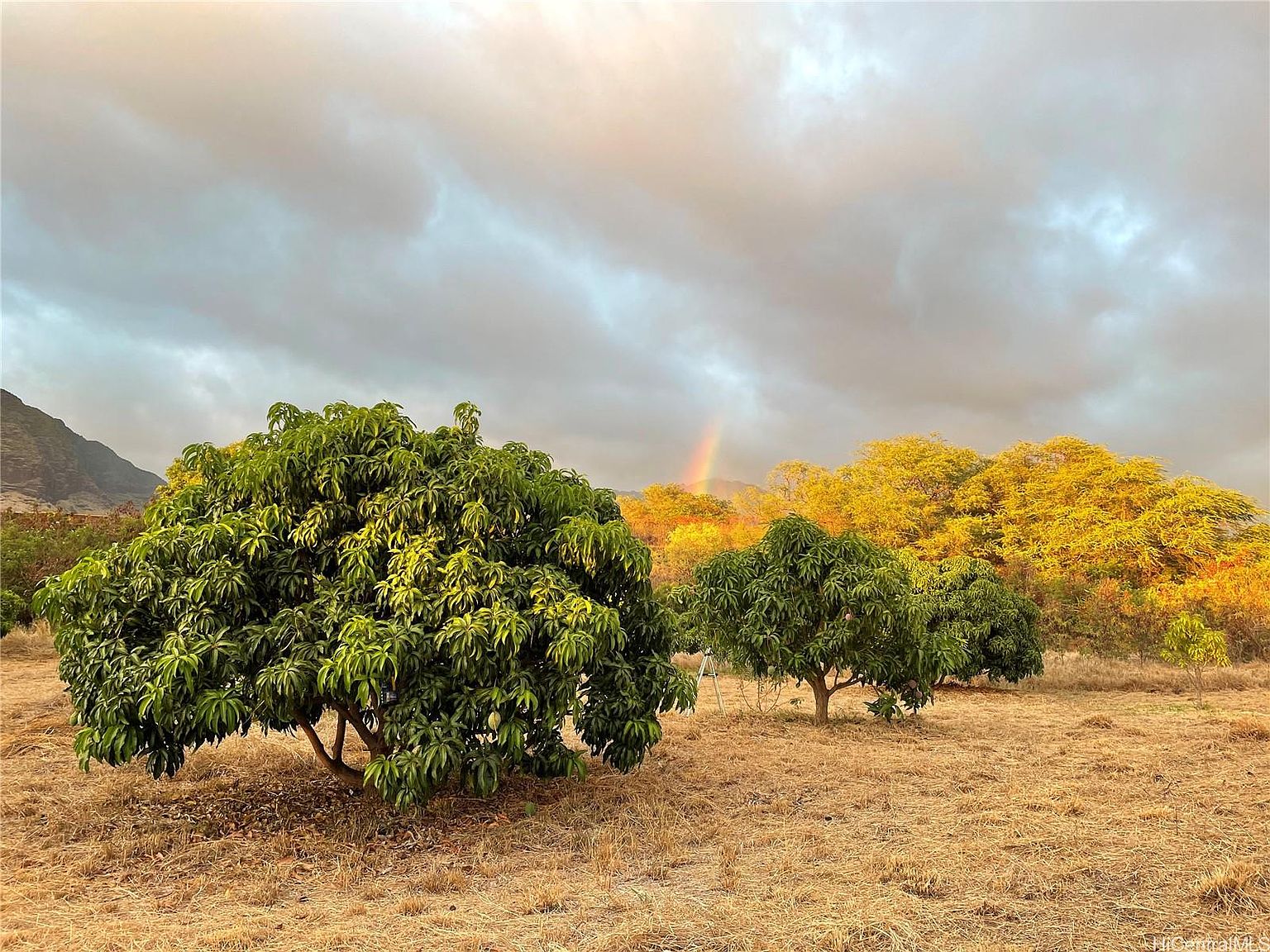 85775A Waianae Valley Rd, Waianae, HI 96792 MLS 202324887 Zillow