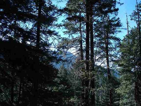 2nd image of 2500 Big Creek Rd