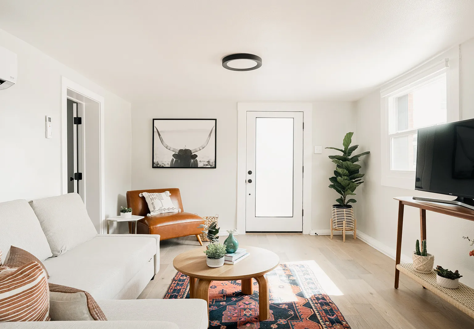 1 bed, 675 sqft, $2,300 — Photo 2