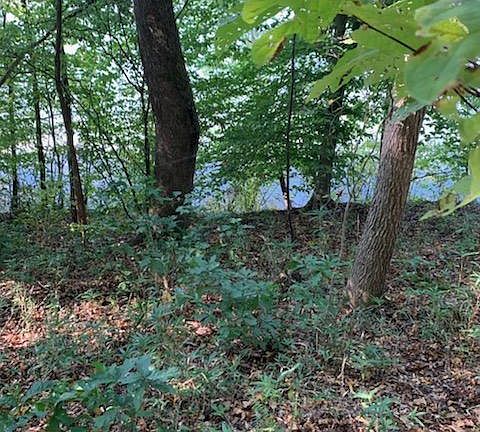 4th image of 5870 Wood Duck Way #14