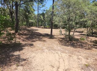 LOT 18 SW Pine Bluffs Rd LOT 18, Dunnellon, FL 34431