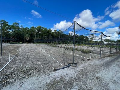 3065 Custer Avenue, Lake Worth, FL, 33467