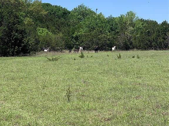 5th image of 2900 N Fm 1744