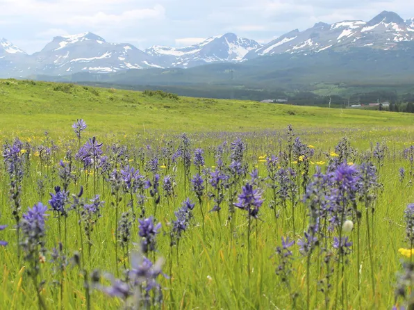 21001 Us Highway 2, East Glacier Park, MT 59434