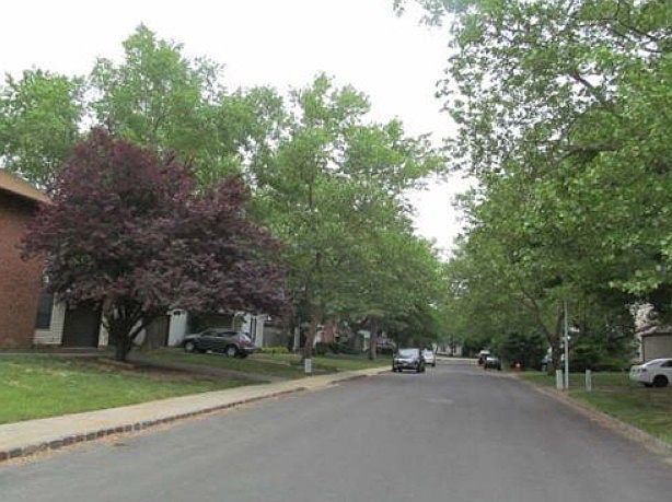 2nd image of 18 Robertson Rd