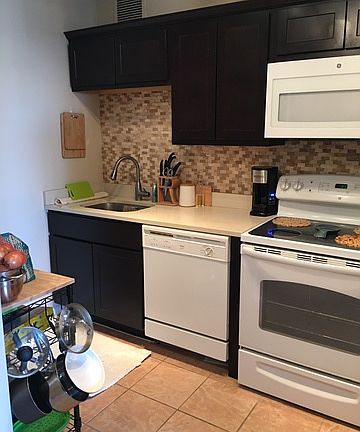 5th image of 777 N Michigan Ave APT 2807