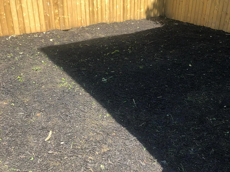 Rear Yard
