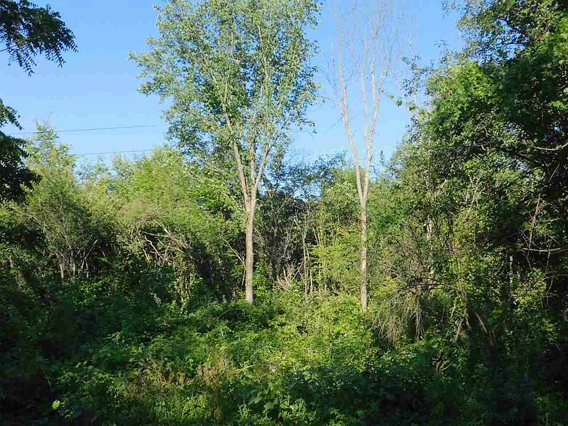 4th image of 0 FINLEY Road