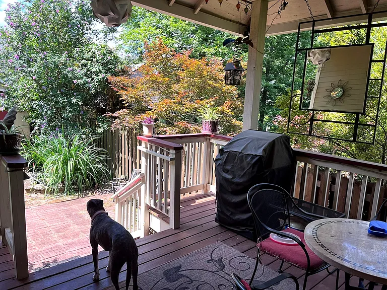 Rear and very private deck. Dog not included:)