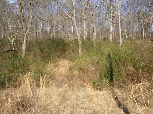 2nd image of Hammerhill Rd