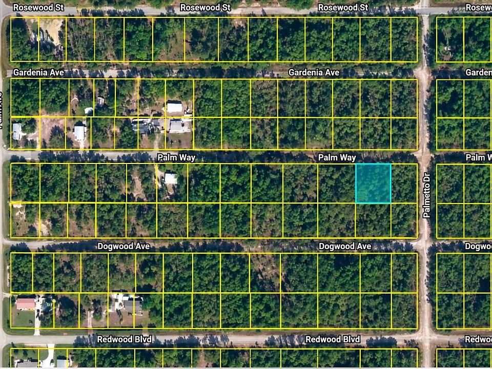 1st image of 337 PALM Way