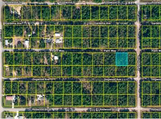 337 PALM Way, Georgetown, FL 32139