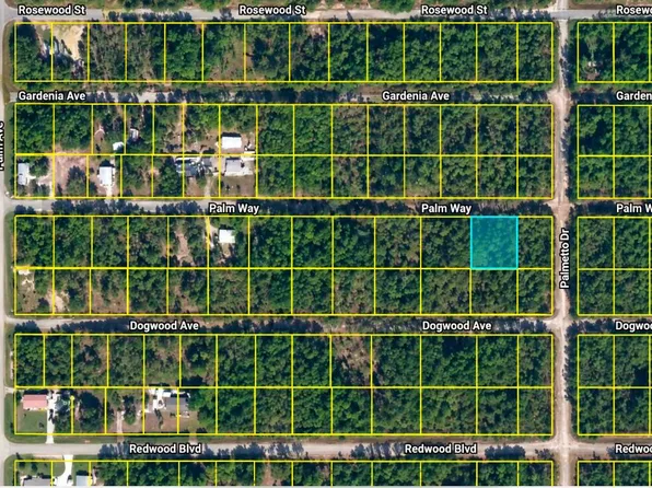 337 PALM Way, Georgetown, FL 32139