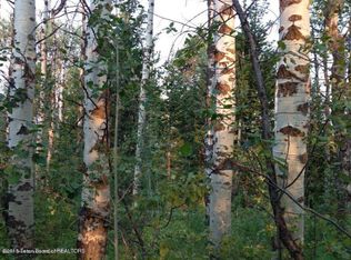 11661 Rammell Mtn, Tetonia, ID 83452