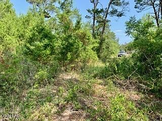 4th image of 7 Sharlene Ln