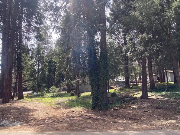 6468 Agra St, Pollock Pines, CA 95726